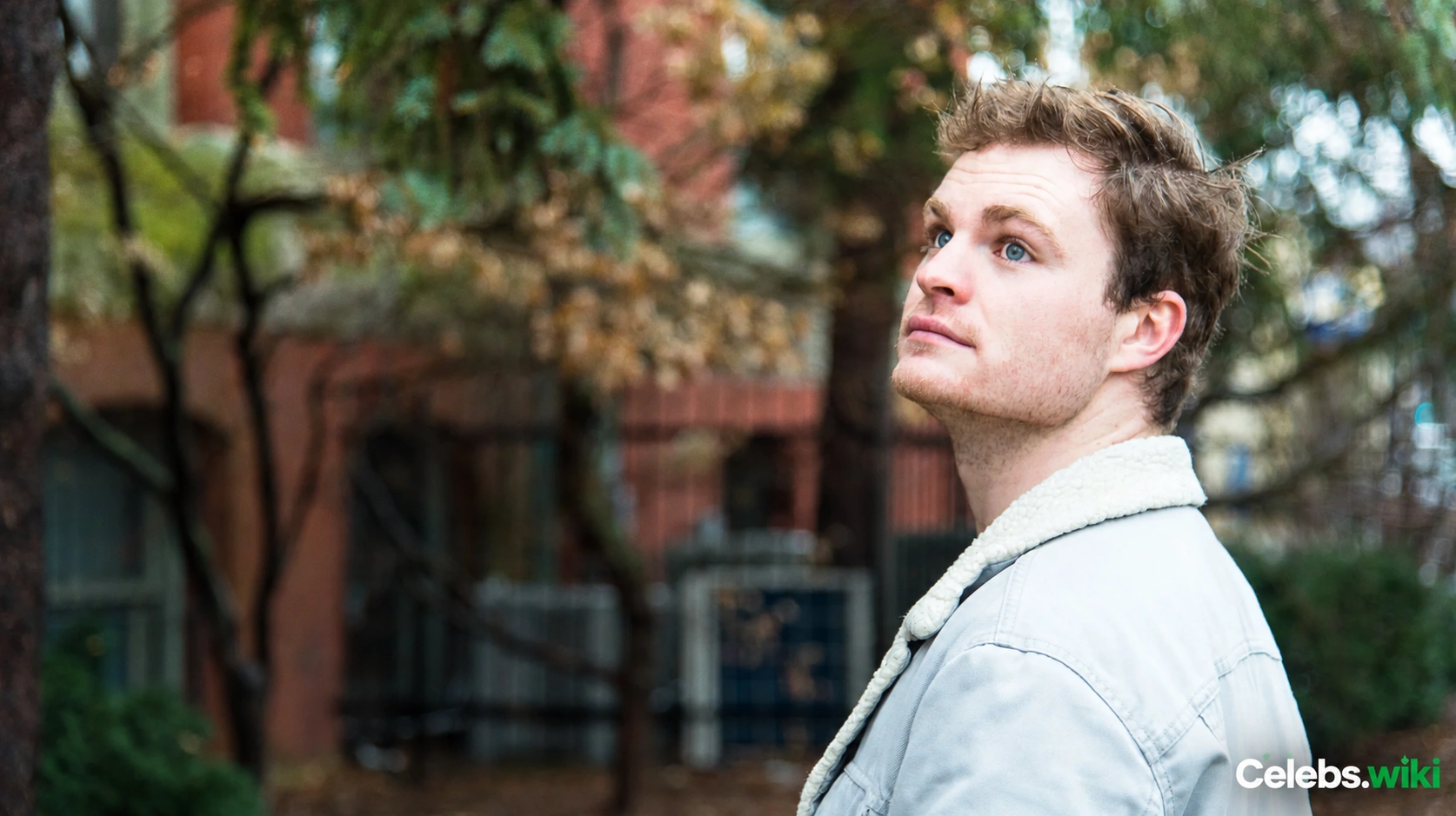 Kieran Regan: Biography, Age, Anime Roles & Career